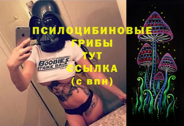 a pvp Абдулино