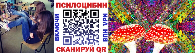 OMG ссылки  Карабаново  Галлюциногенные грибы ЛСД 